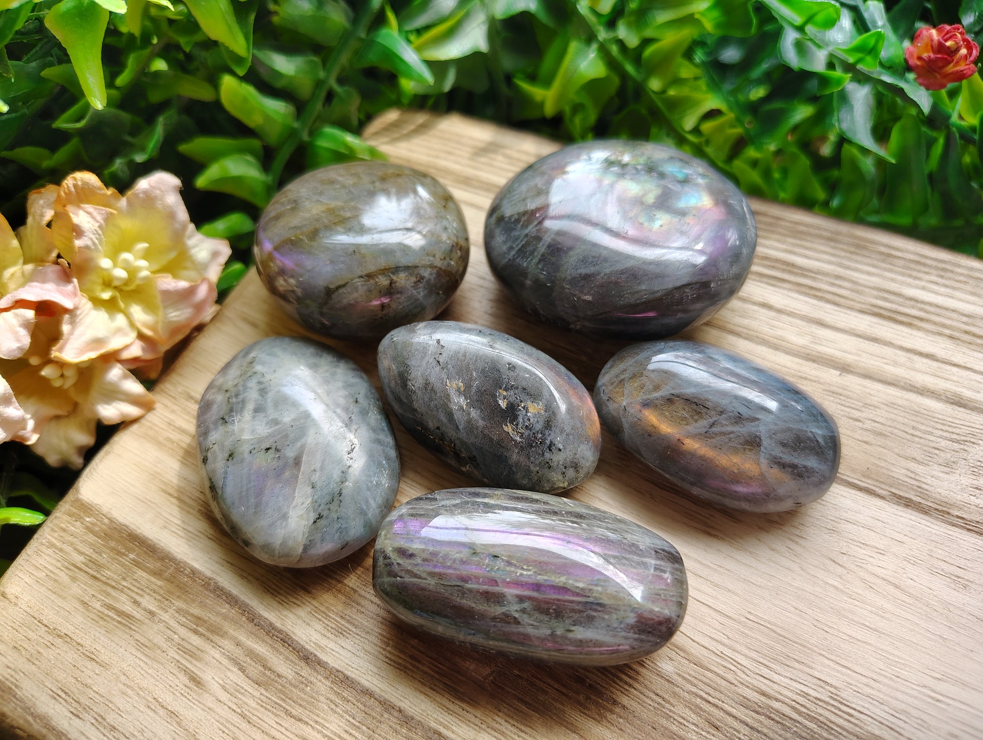Set of polished labradorite stones on a wooden surface with greenery in the background