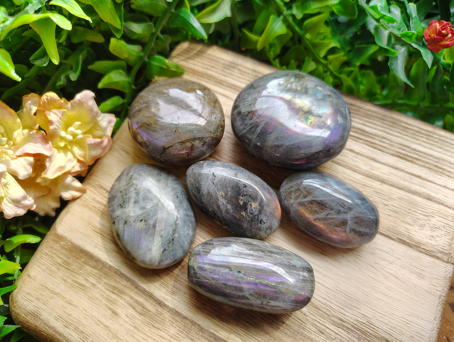 Polished stones on a wooden surface with greenery in the background