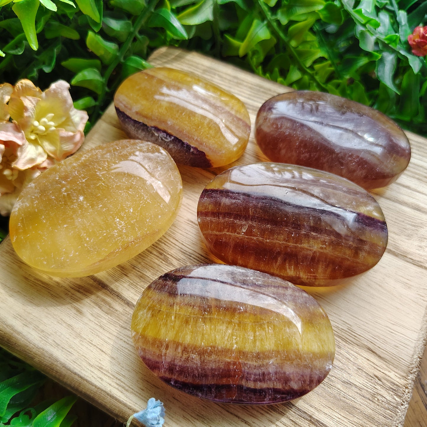 Five polished fluorite stones on a wooden board with greenery in the background