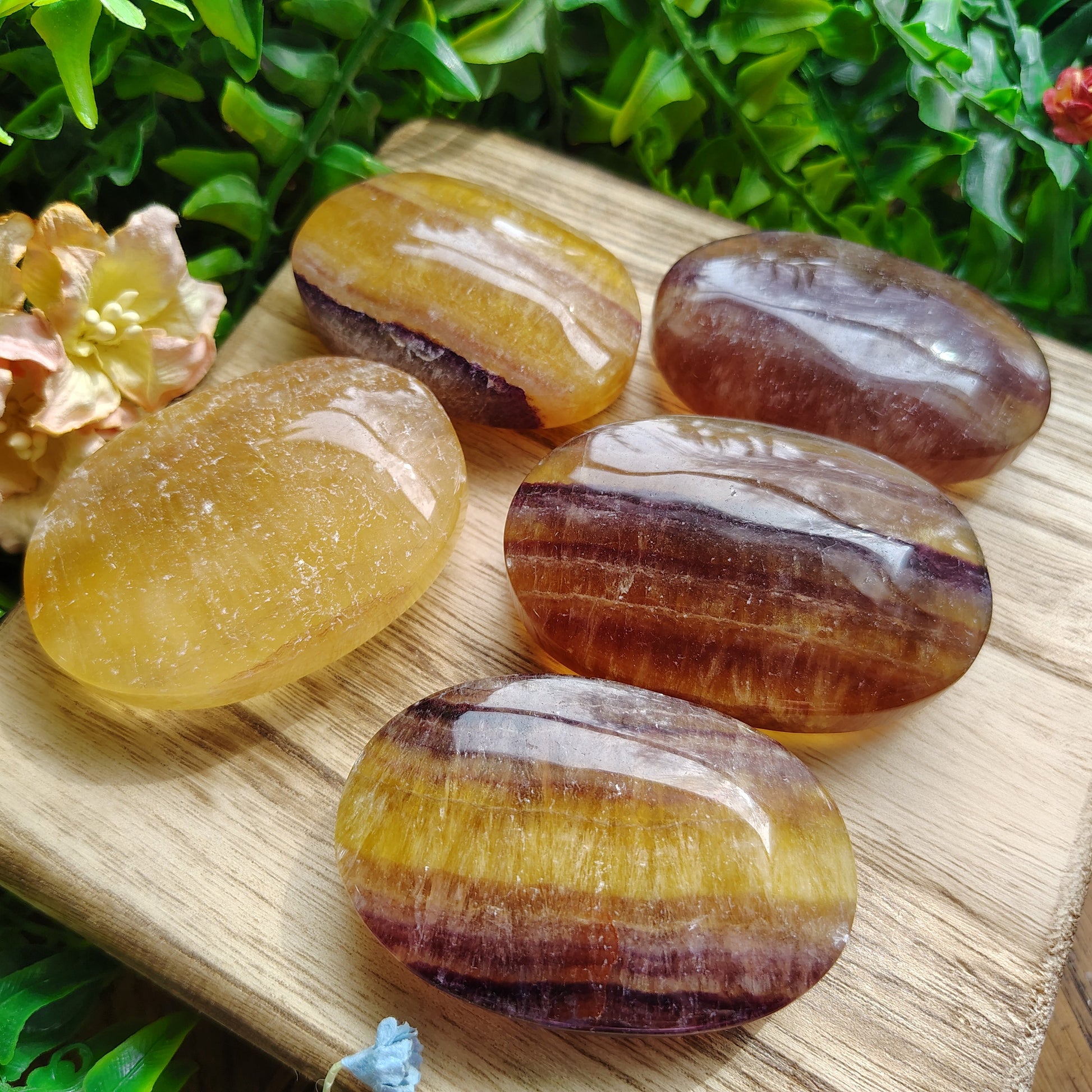 Five polished fluorite stones on a wooden board with greenery in the background