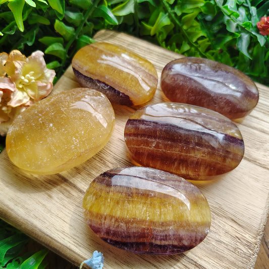 Five polished fluorite stones on a wooden board with greenery in the background