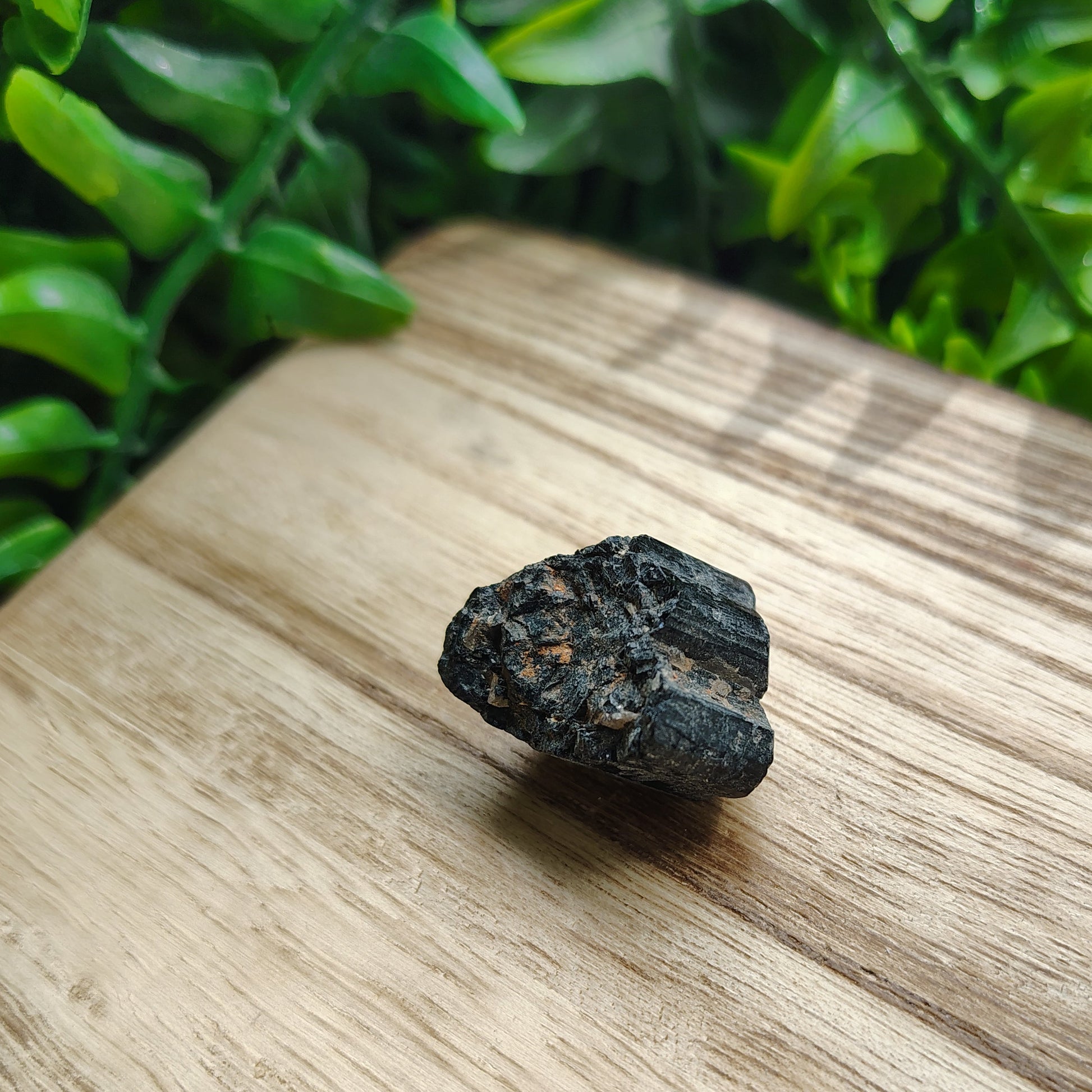 Black tourmaline on a wooden surface with green leaves in the background