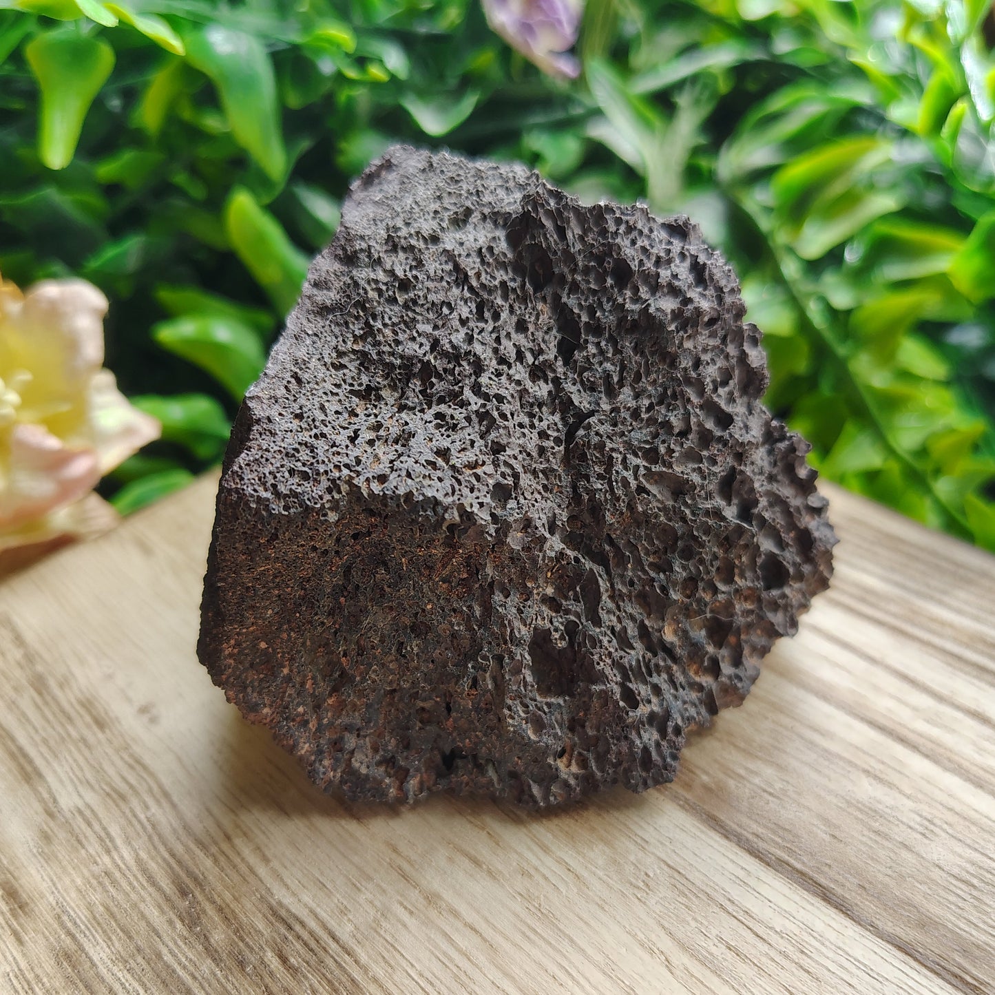 Lava rock on a wooden surface with greenery and flowers in the background